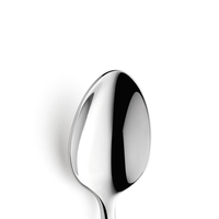 TENDENCE Łyżka stołowa