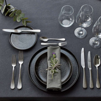 SIERRA Komplet sztućców  dla 12 osób 60 cz. w pud. uniwersalnym