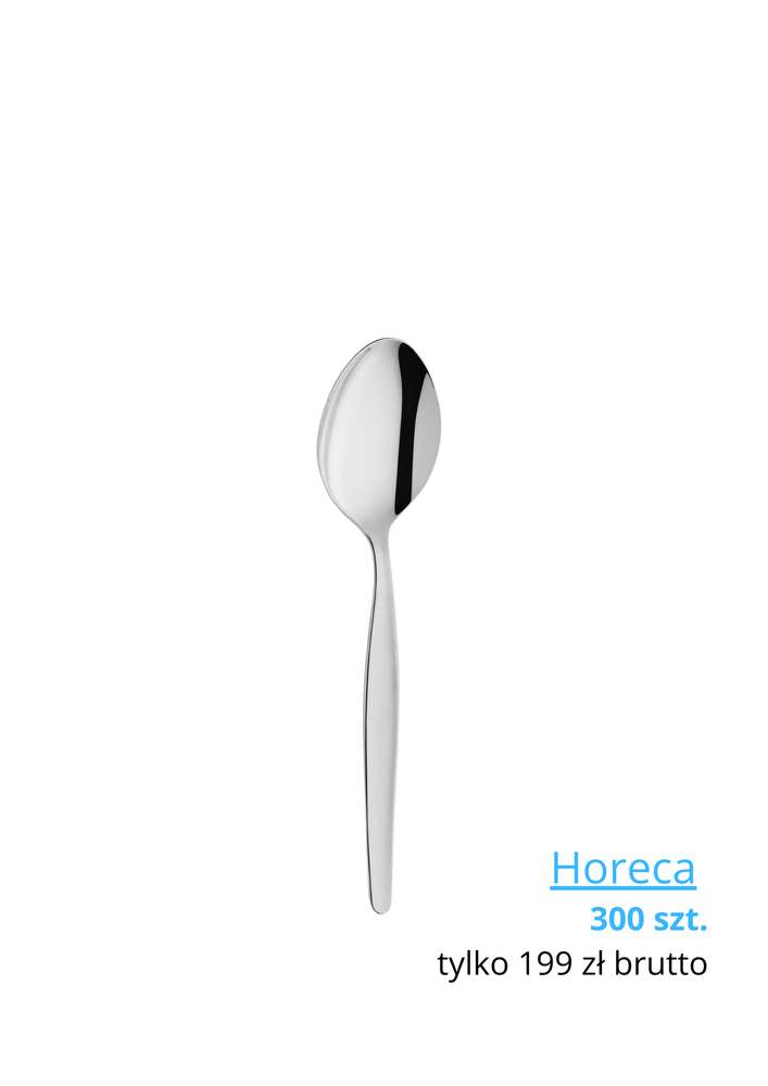 BALTIC ECONOMIC Łyżeczka do herbaty 300 szt.