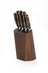 VIRTUOSE Zestaw noży kuchennych 5 cz. w bloku