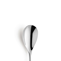 NEWTON Łyżeczka do herbaty