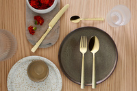 FELICITY Komplet sztućców PVD dla 6 osób 24 cz. w pud. szampański