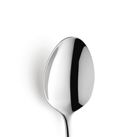 MARTIN Łyżka do przystawek