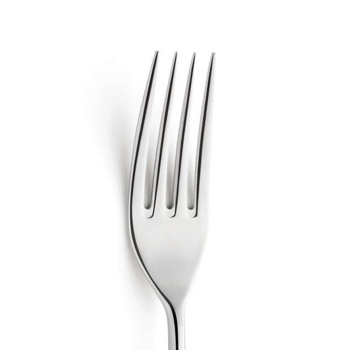 NEWTON Widelec stołowy