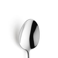 METROPOLE Łyżka do przystawek