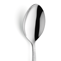 JEWEL Łyżka stołowa