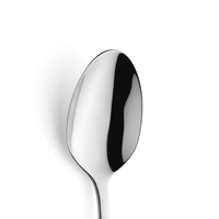 AUSTIN Łyżka stołowa