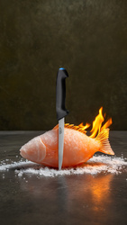 PRO TECH Nóż masarski 20cm na zawieszce