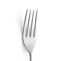 NEWTON Widelec stołowy